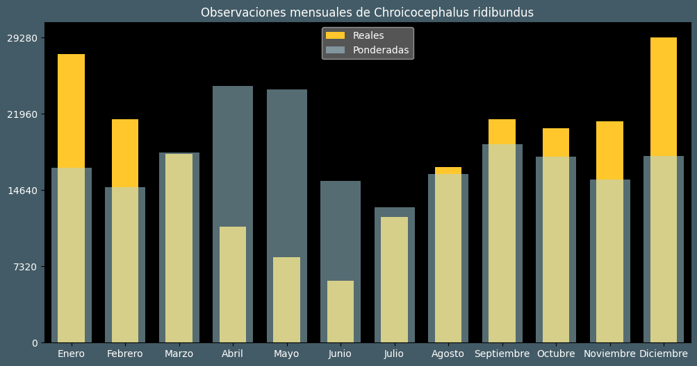 Observations by Month