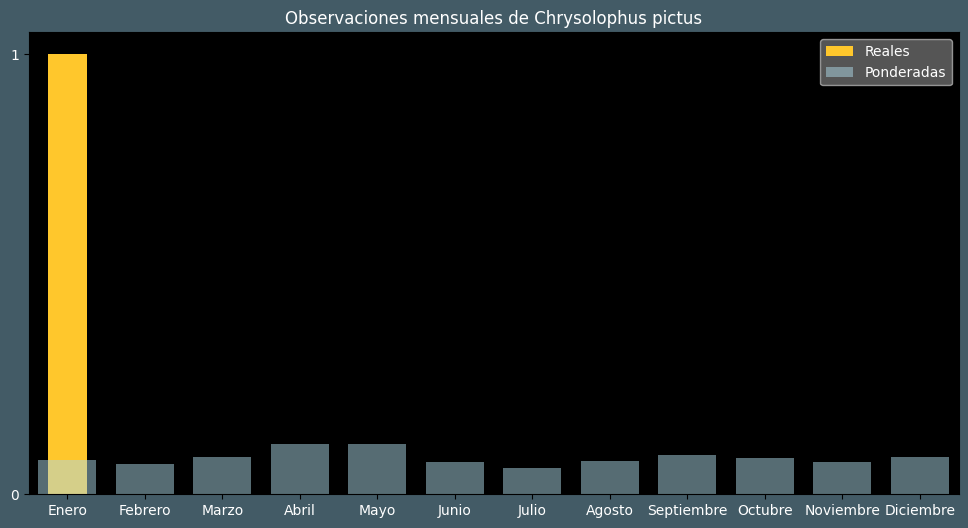 Observations by Month