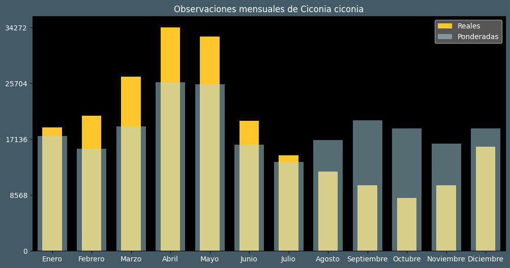 Observations by Month