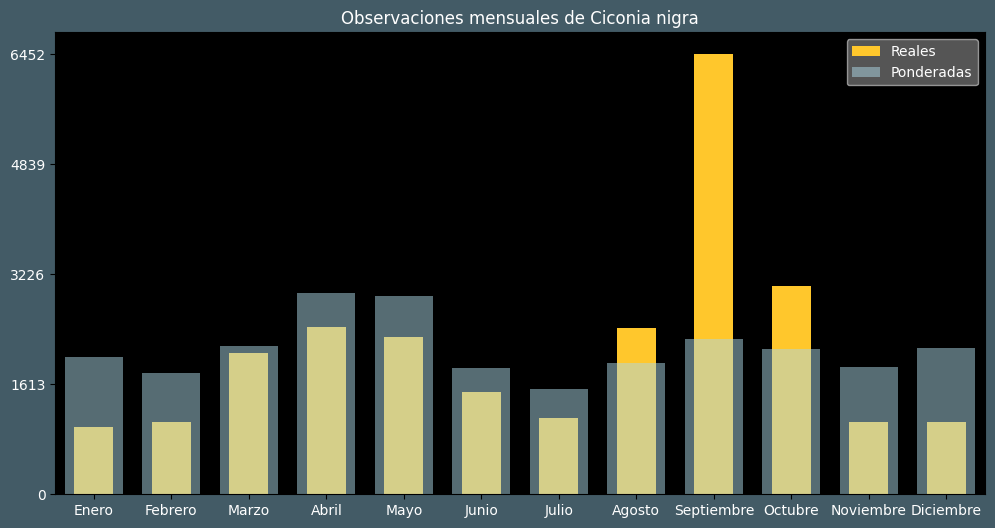 Observations by Month