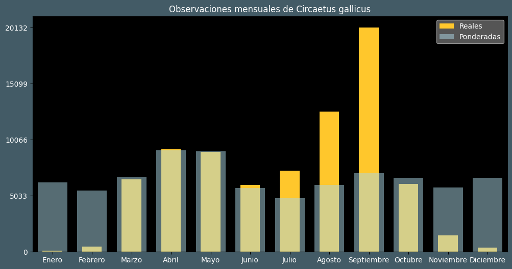 Observations by Month