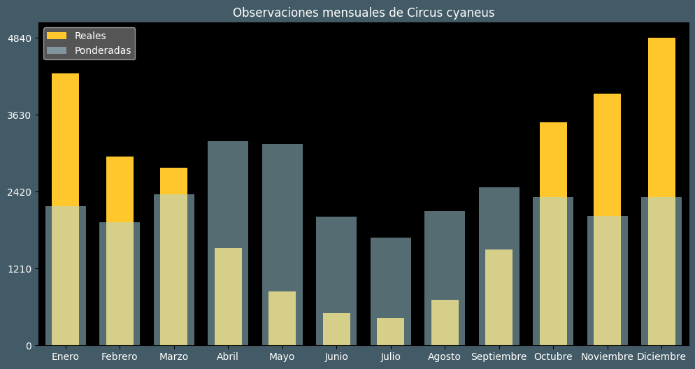 Observations by Month