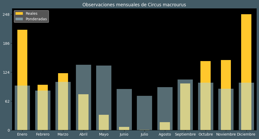 Observations by Month