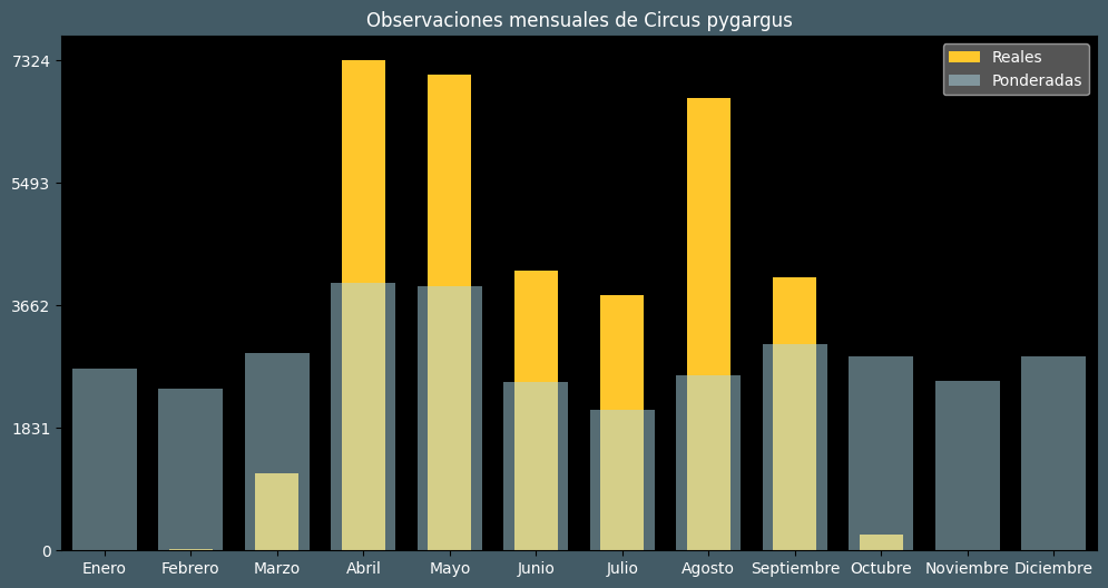 Observations by Month