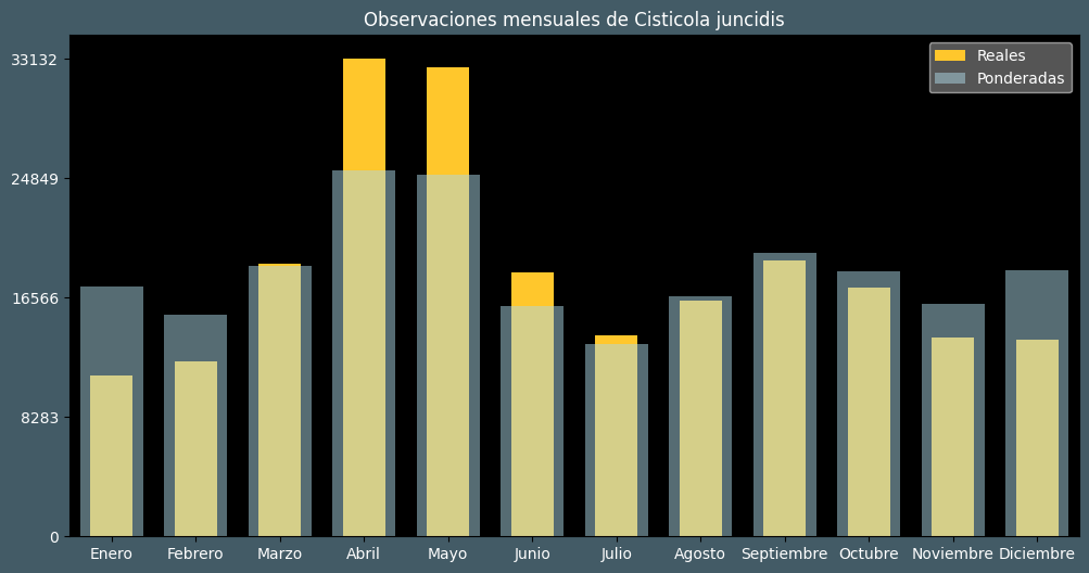 Observations by Month