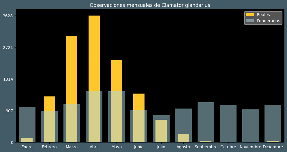 Observations by Month