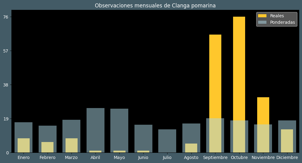 Observations by Month