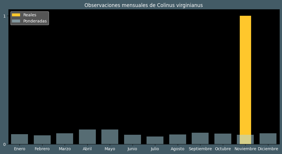 Observations by Month