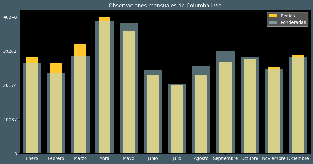 Observations by Month