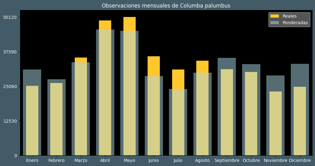 Observations by Month