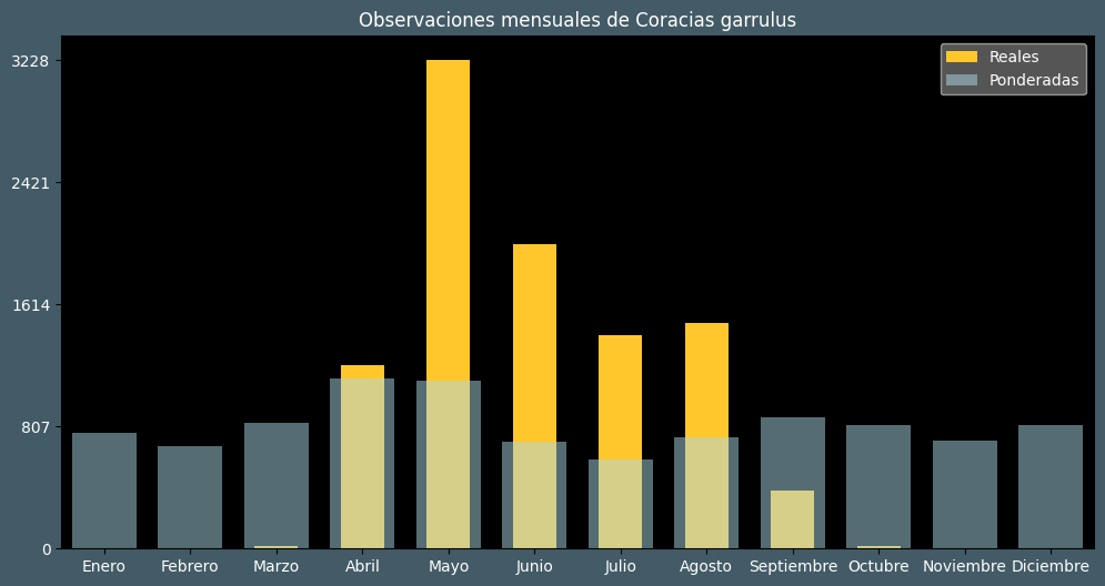 Observations by Month