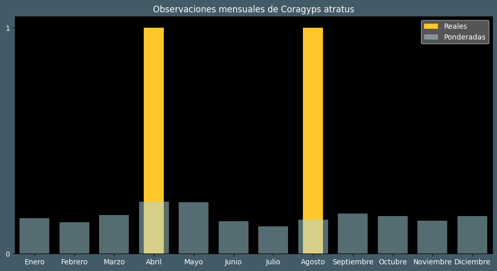 Observations by Month