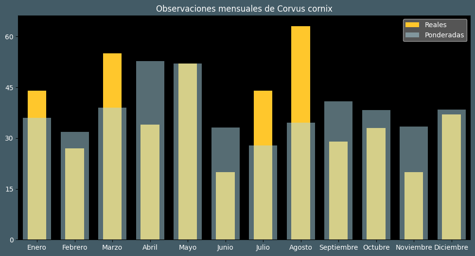 Observations by Month