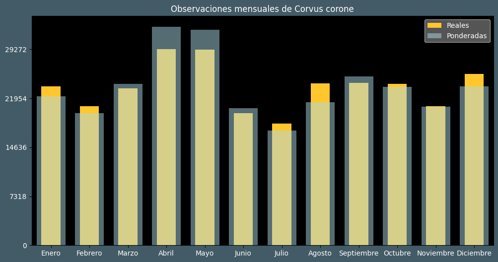 Observations by Month