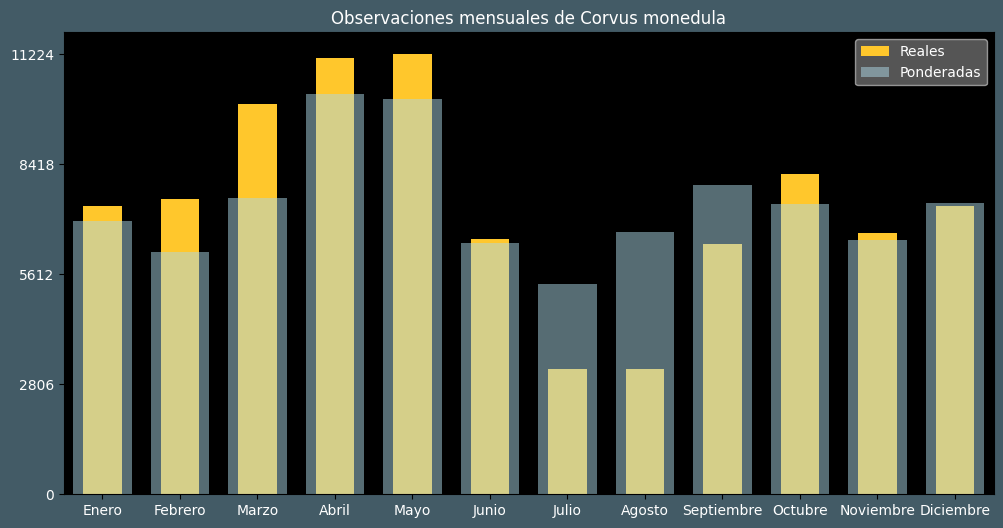 Observations by Month