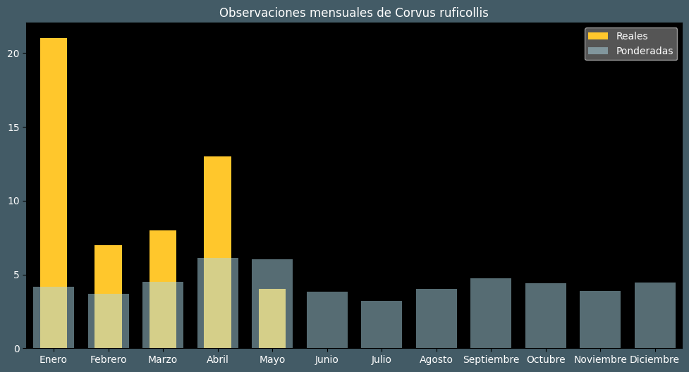 Observations by Month