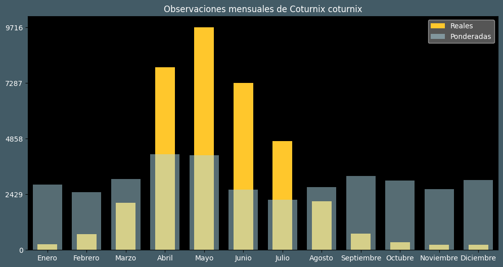 Observations by Month