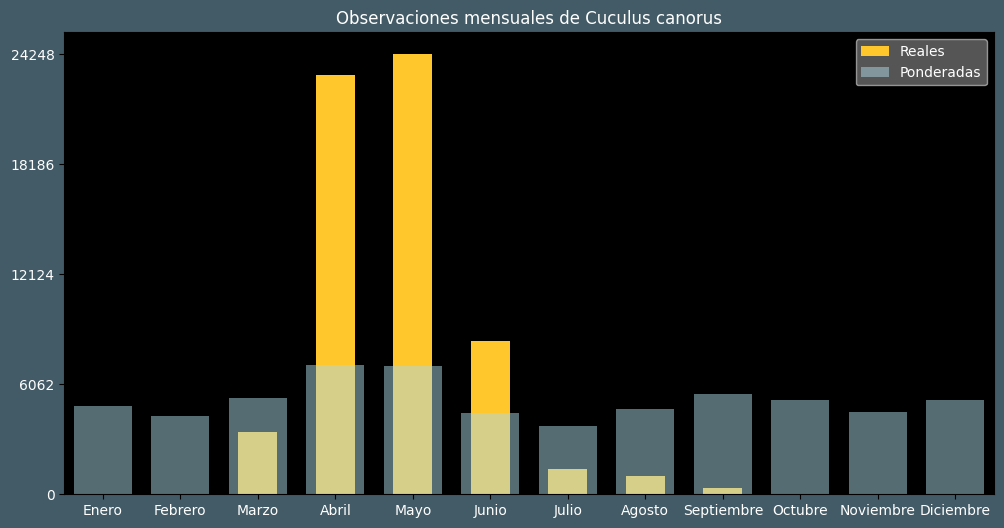 Observations by Month