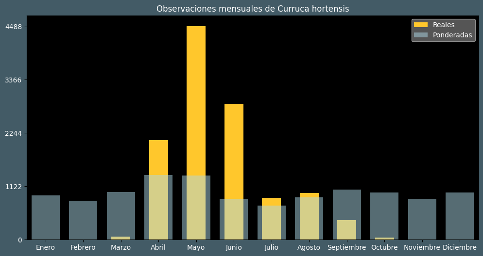 Observations by Month