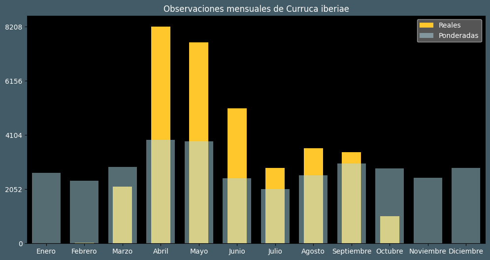 Observations by Month