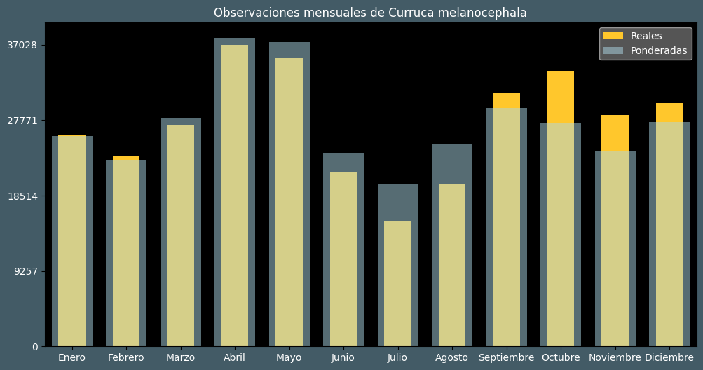 Observations by Month