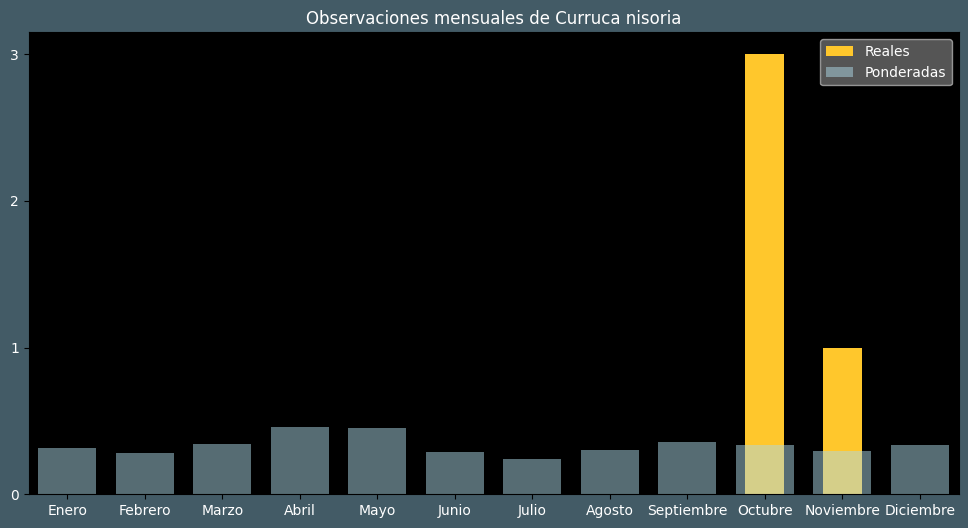 Observations by Month