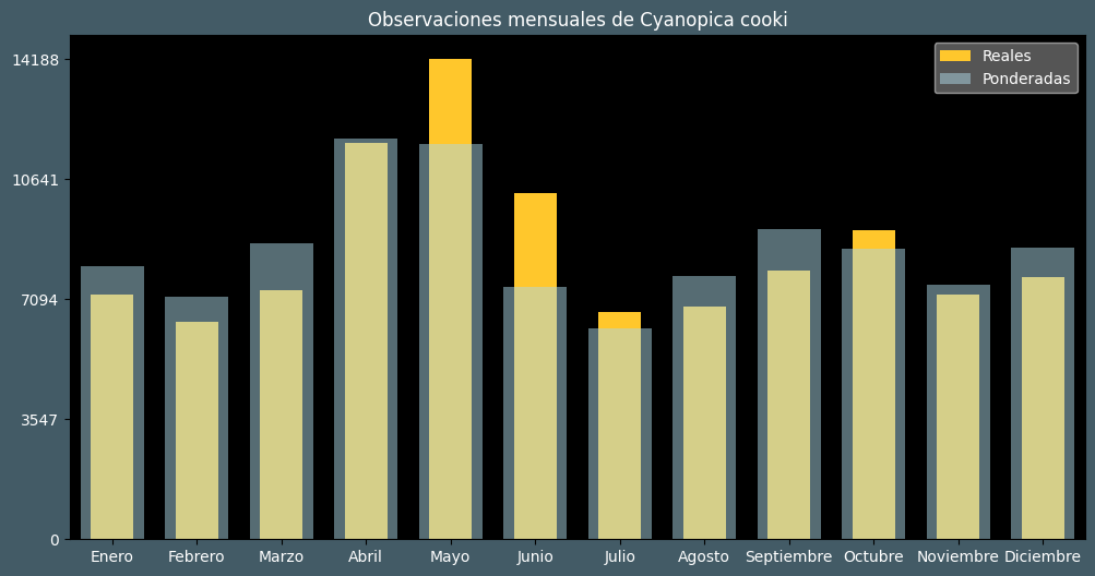 Observations by Month