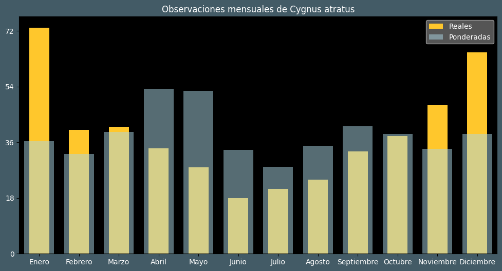 Observations by Month