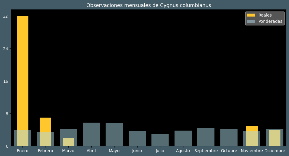 Observations by Month