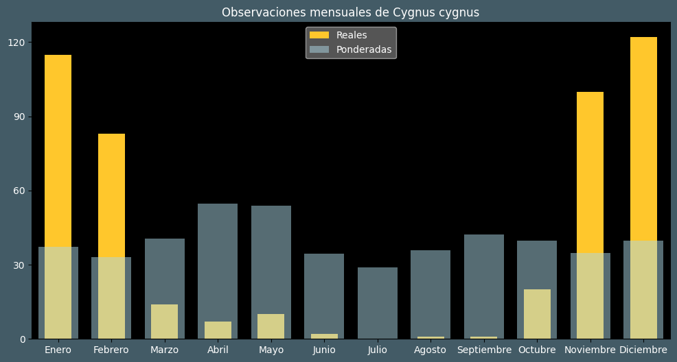 Observations by Month