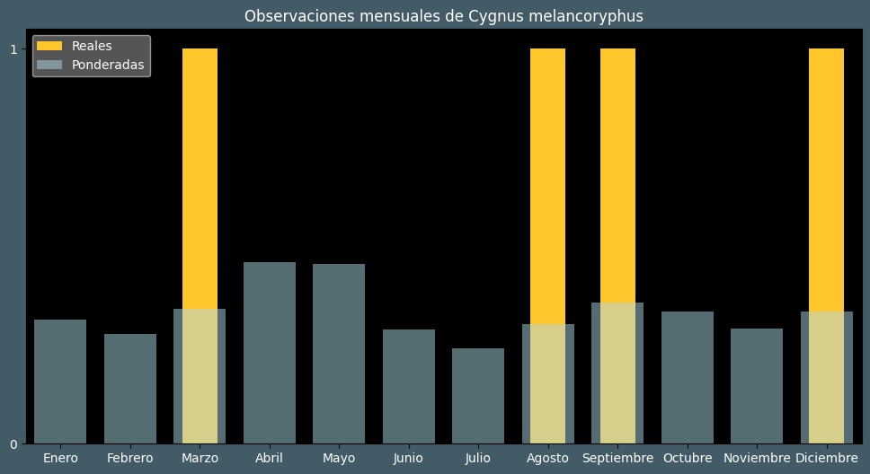 Observations by Month