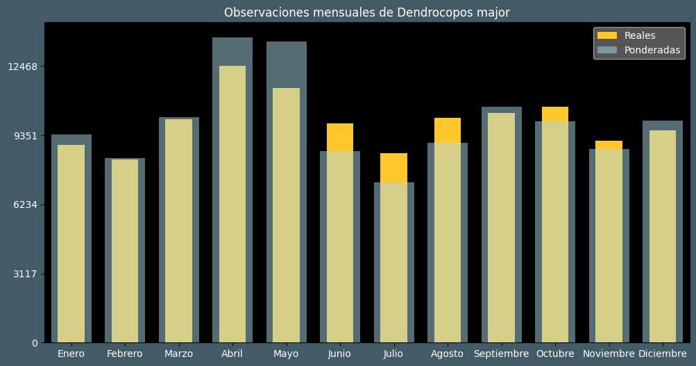 Observations by Month