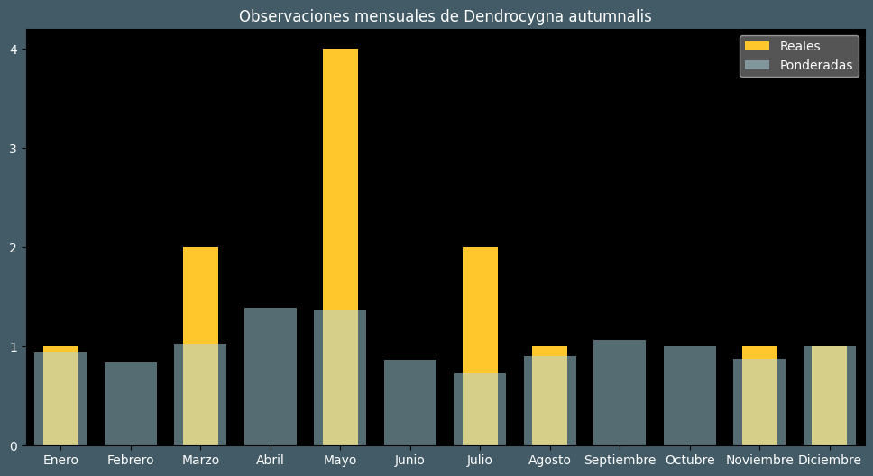 Observations by Month