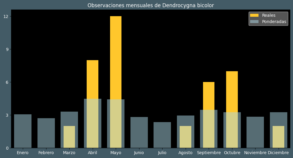 Observations by Month