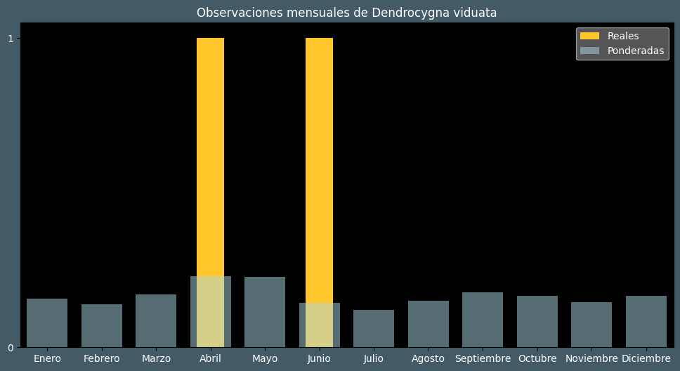 Observations by Month