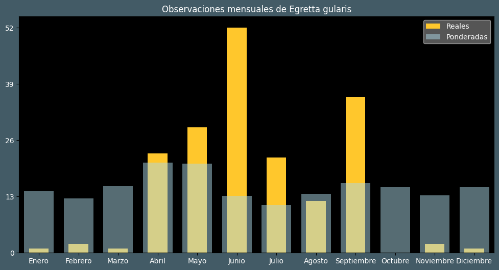 Observations by Month