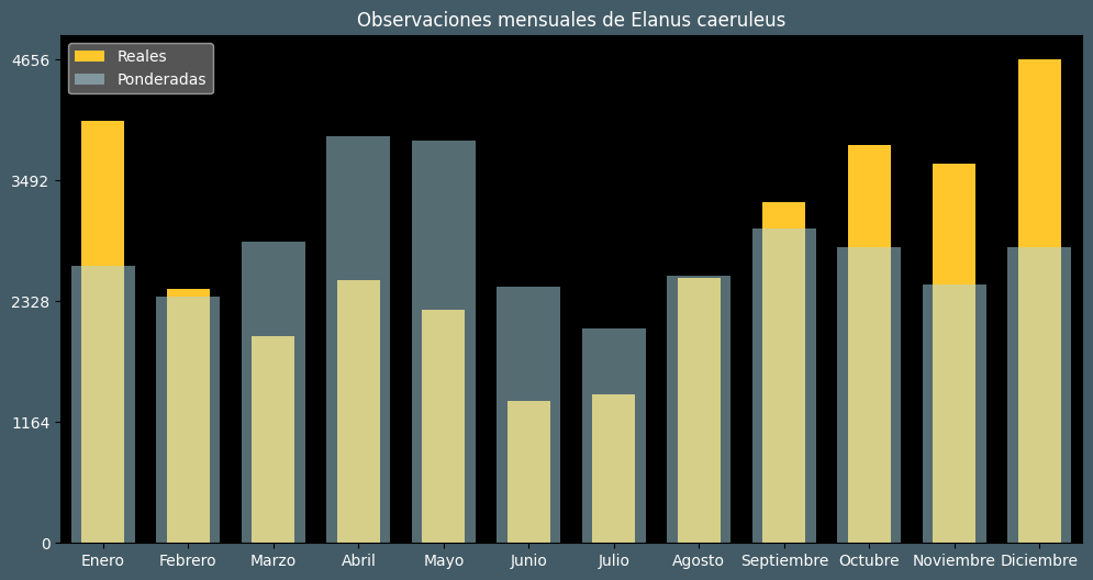 Observations by Month