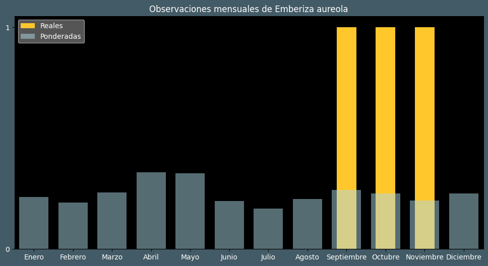 Observations by Month