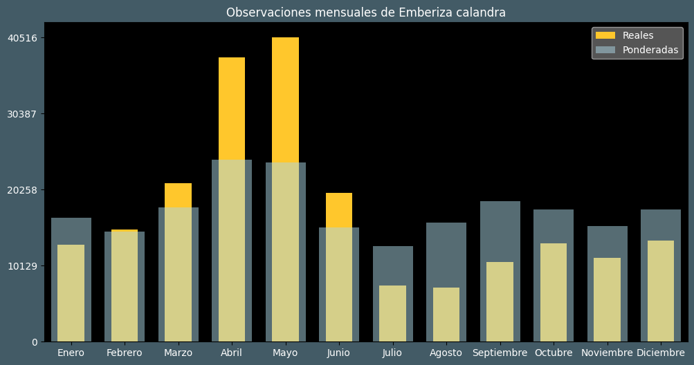 Observations by Month