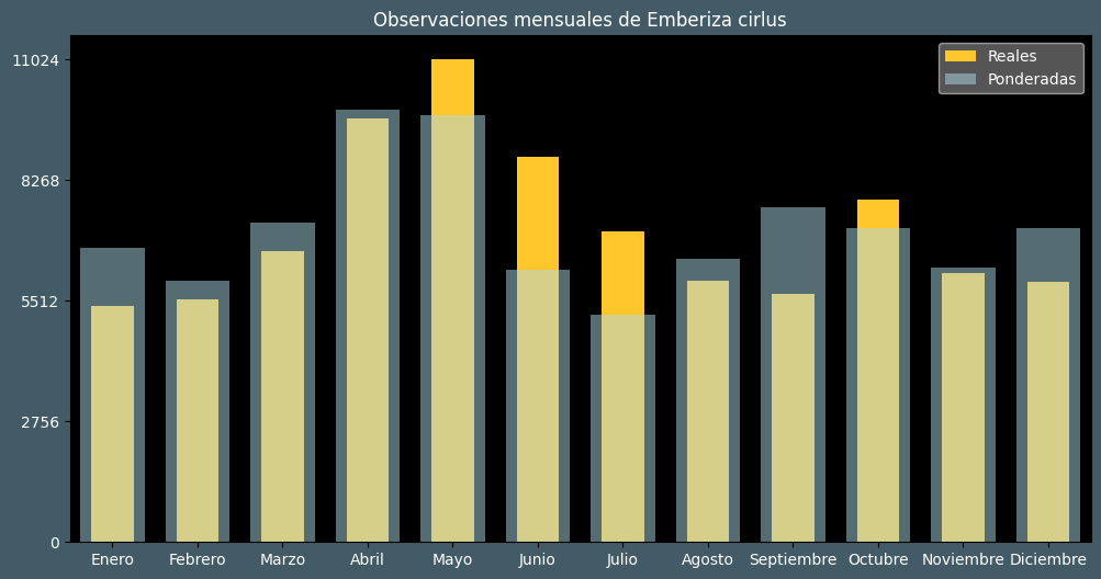 Observations by Month