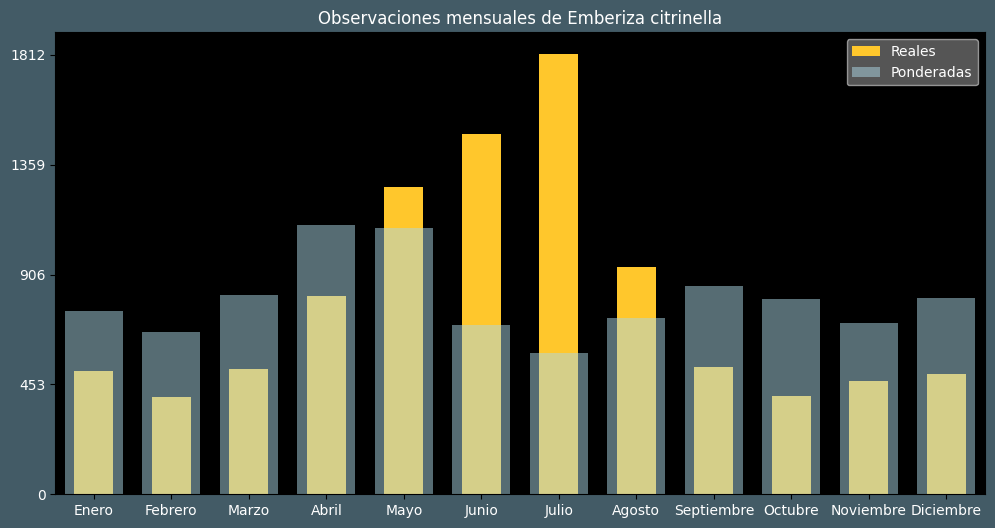 Observations by Month