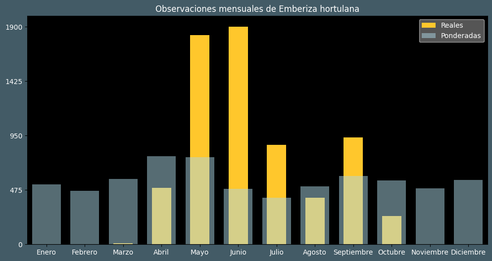 Observations by Month