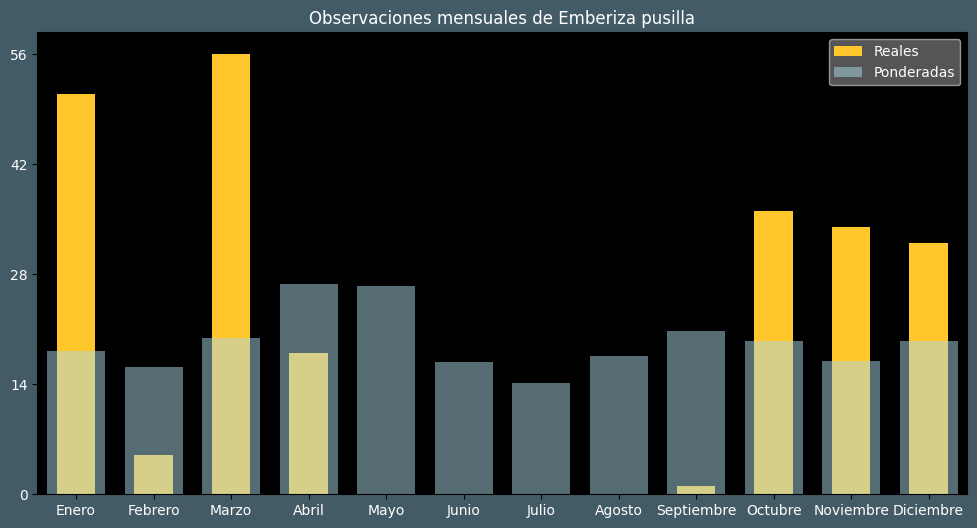 Observations by Month