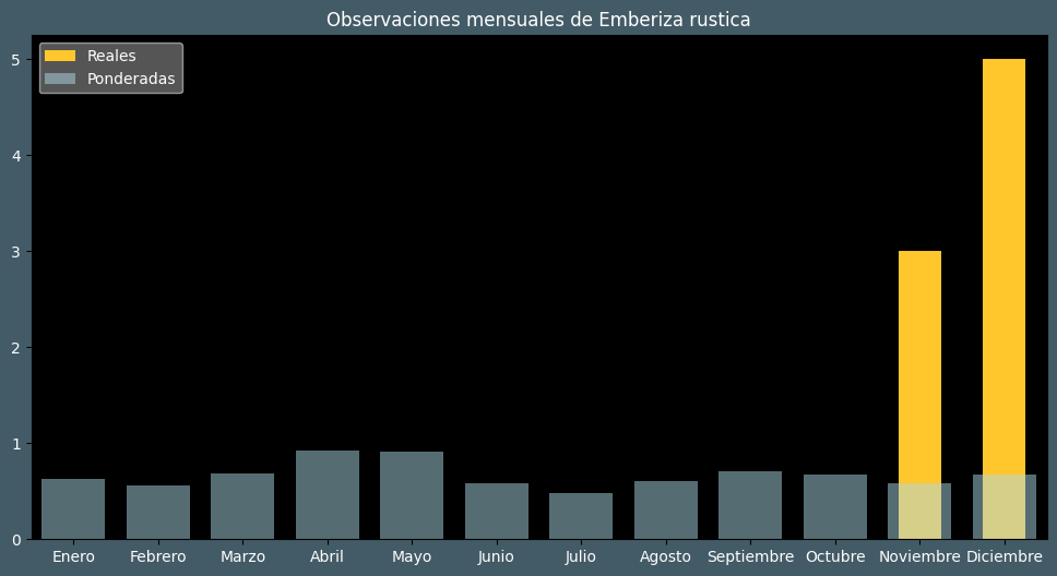 Observations by Month