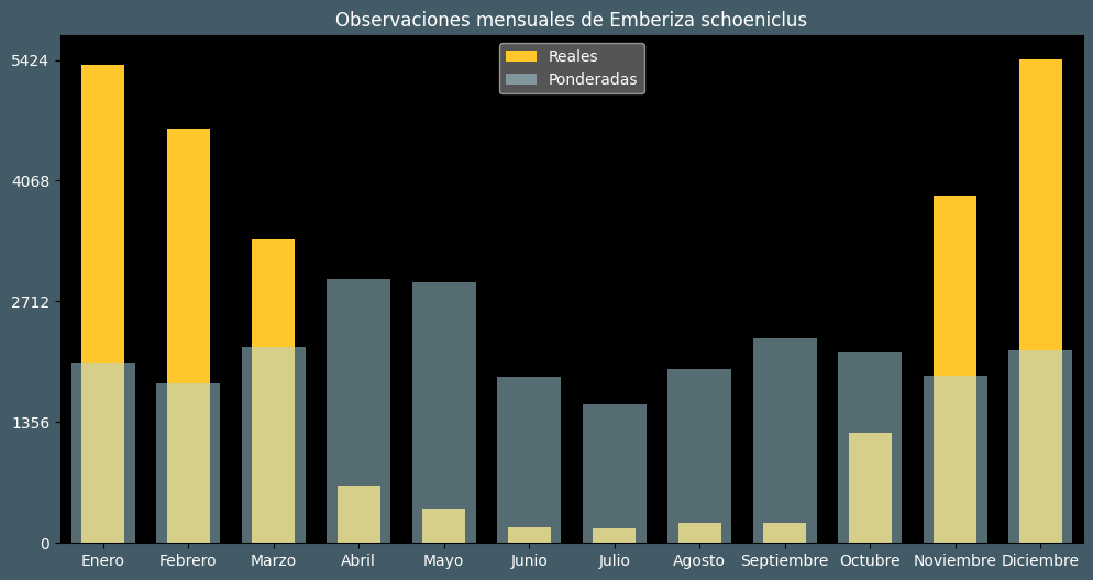 Observations by Month