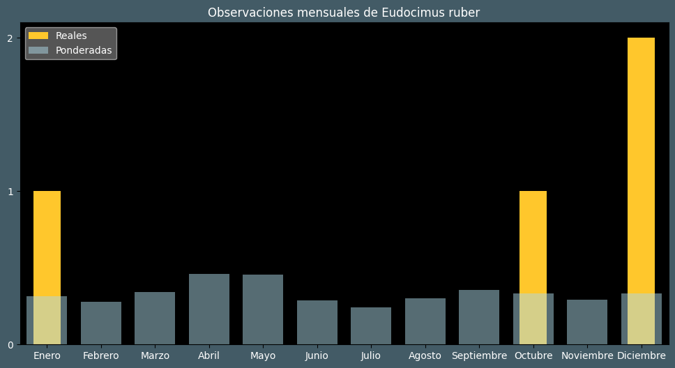 Observations by Month