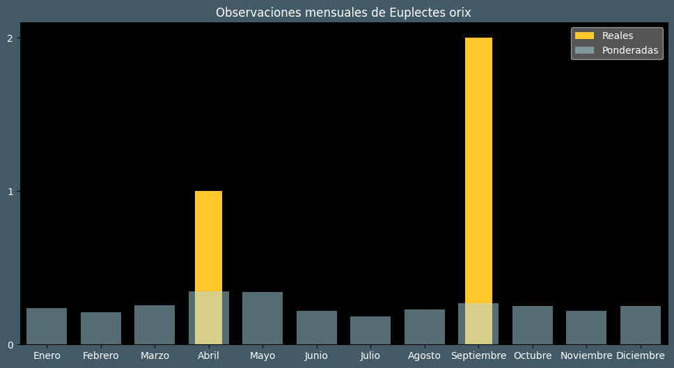 Observations by Month