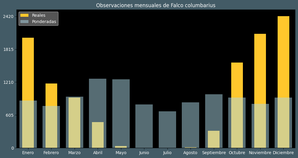 Observations by Month