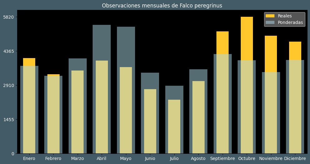 Observations by Month