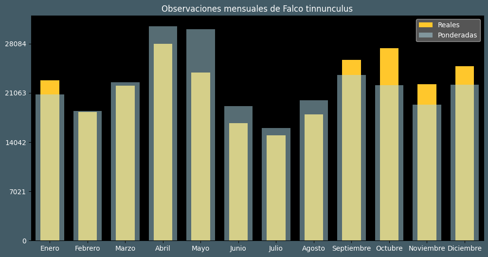 Observations by Month